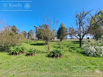 Casa quinta en venta, Brandsen- Ideal Granja, Emprendimiento !!!!