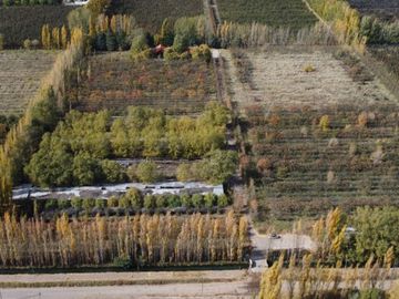 Venta chacra 5has. con casa de 600mt2 y galpones. Cipolletti, Río Negro