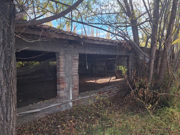 Venta chacra 5has. con casa de 600mt2 y galpones. Cipolletti, Río Negro