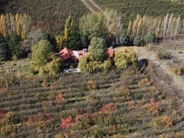 Venta chacra 5has. con casa de 600mt2 y galpones. Cipolletti, Río Negro