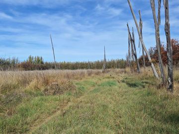 Venta chacra 5has. con casa de 600mt2 y galpones. Cipolletti, Río Negro