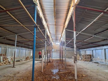 Venta chacra 5has. con casa de 600mt2 y galpones. Cipolletti, Río Negro