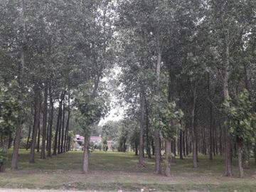 Terreno en venta - 980mts2 - General Belgrano - Leufu Kiñe