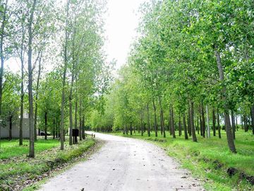Terreno en venta - 980mts2 - General Belgrano - Leufu Kiñe