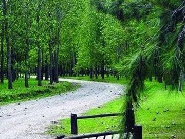 Terreno en venta - 980mts2 - General Belgrano - Leufu Kiñe