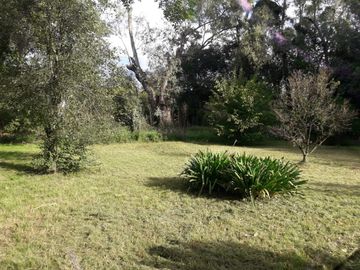 Quinta en venta - 3 Dormitorios 4 Baños - 10.919Mts2 - Mariano Acosta, Merlo