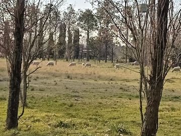 Casa en Venta en Chacras De Murray, Pilar