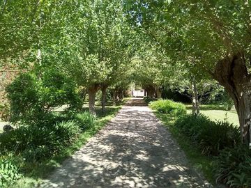 Casa Quinta en Venta  El Pato sobre lote de 7500m2 . A metros de ruta 36