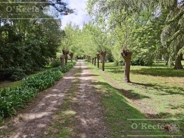 Casa Quinta en Venta  El Pato sobre lote de 7500m2 . A metros de ruta 36