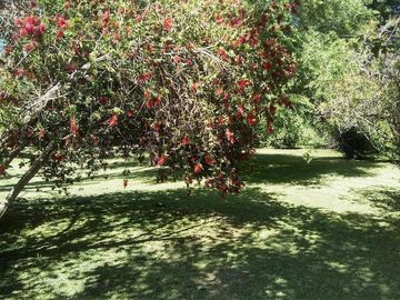 Casa Quinta en Venta  El Pato sobre lote de 7500m2 . A metros de ruta 36