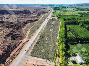 Venta Lote  12.465 m2 Frente RP7- Loteo La Lonja - Añelo
