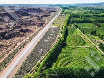 Venta Lote  12.465 m2 Frente RP7- Loteo La Lonja - Añelo