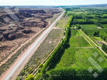 Venta Lote 10.110 m2 Frente RP7 - Loteo La Lonja - Añelo