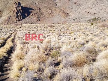 Chacra en Río Aluminé, Pilo Lil,