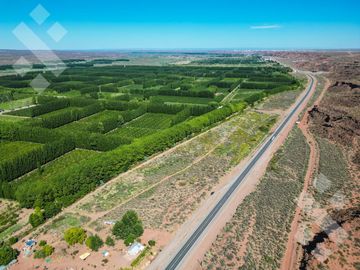 Venta Lote 9.229 m2 - Loteo La Lonja - Añelo