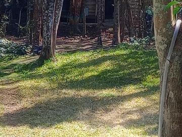 Casa en venta - 2 Dormitorios 2 Baños - Cochera - 2000Mts2 - Punta Indio