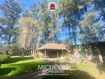 Casaquinta en venta, Neuquén 690, barrio Lambertuchi. IDEAL ASILO, CLINICA, JARDIN DE INFANTES