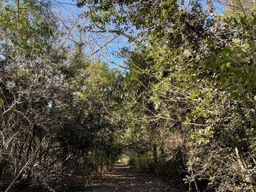 Terreno - Countries/B.Cerrado (Berazategui)