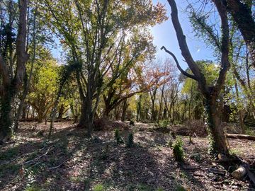 Terreno - Countries/B.Cerrado (Berazategui)