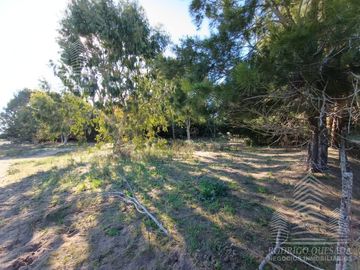 |18 HECTAREAS EN EL PINAR| |IDEAL LOTEO| |LA LUCILA|