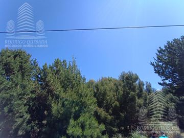 |18 HECTAREAS EN EL PINAR| |IDEAL LOTEO| |LA LUCILA|
