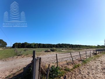 |18 HECTAREAS EN EL PINAR| |IDEAL LOTEO| |LA LUCILA|