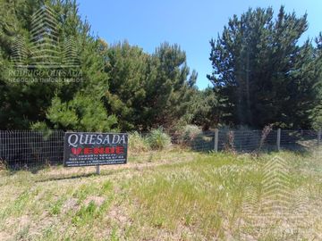 |18 HECTAREAS EN EL PINAR| |IDEAL LOTEO| |LA LUCILA|