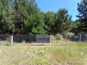|18 HECTAREAS EN EL PINAR| |IDEAL LOTEO| |LA LUCILA|