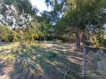 |18 HECTAREAS EN EL PINAR| |IDEAL LOTEO| |LA LUCILA|