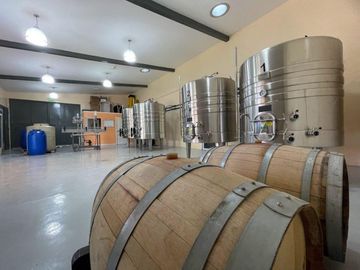 Bodega en venta - 9 Dormitorios 4 Baños - Cocheras - 85.039Mts2 - San Rafael, Mendoza
