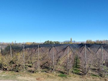 Bodega en venta - 9 Dormitorios 4 Baños - Cocheras - 85.039Mts2 - San Rafael, Mendoza