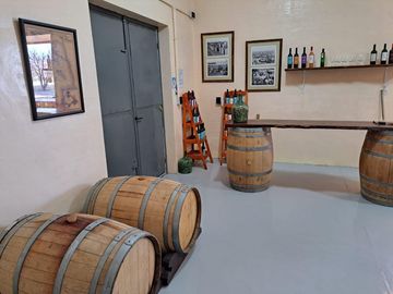 Bodega en venta - 9 Dormitorios 4 Baños - Cocheras - 85.039Mts2 - San Rafael, Mendoza