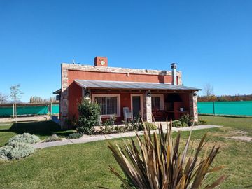 Bodega en venta - 9 Dormitorios 4 Baños - Cocheras - 85.039Mts2 - San Rafael, Mendoza