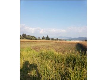 TERRENO EN VENTA EN SANTA MARIA RAYON ESTADO DE MEXICO