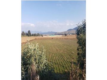 TERRENO EN VENTA EN SANTA MARIA RAYON ESTADO DE MEXICO