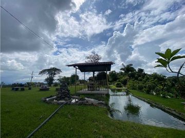 SE VENDE FINCA EN FILANDIA QUINDO