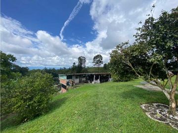 SE VENDE FINCA EN FILANDIA QUINDO