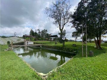 SE VENDE FINCA EN FILANDIA QUINDO