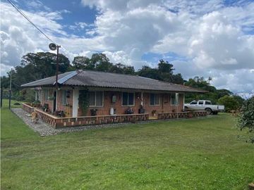 SE VENDE FINCA EN FILANDIA QUINDO