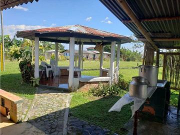 SE VENDE FINCA EN FILANDIA QUINDO