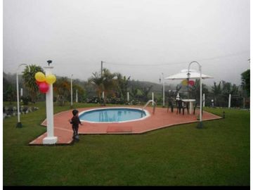 SE VENDE FINCA EN FILANDIA QUINDO