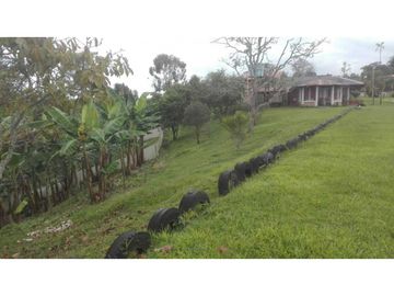SE VENDE FINCA EN FILANDIA QUINDO