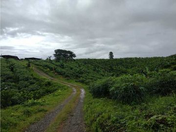 SE VENDE FINCA EN MONTENEGRO