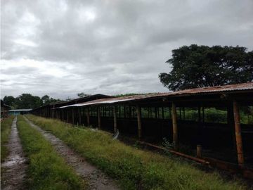 SE VENDE FINCA EN MONTENEGRO
