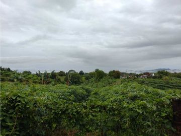 SE VENDE FINCA EN MONTENEGRO