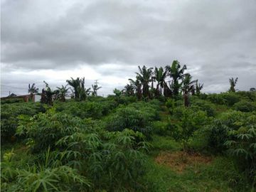SE VENDE FINCA EN MONTENEGRO