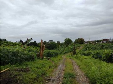 SE VENDE FINCA EN MONTENEGRO