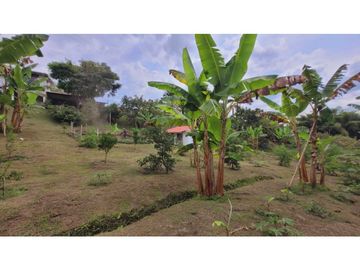 SE VENDE CASA CAMPESTRE EN EL CAIMO QUINDIO