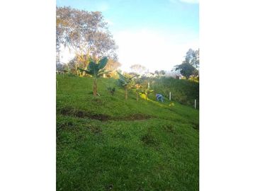 Se venden cabañas para turismo en filandia Quindío