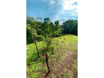 Se venden cabañas para turismo en filandia Quindío